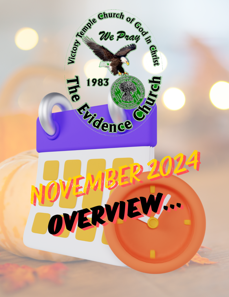 2024 November Calendar Overview